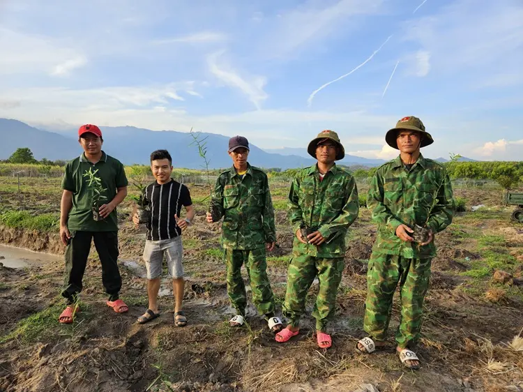 xáo tam phân 2