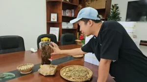 xáo tam thân ngâm rượu