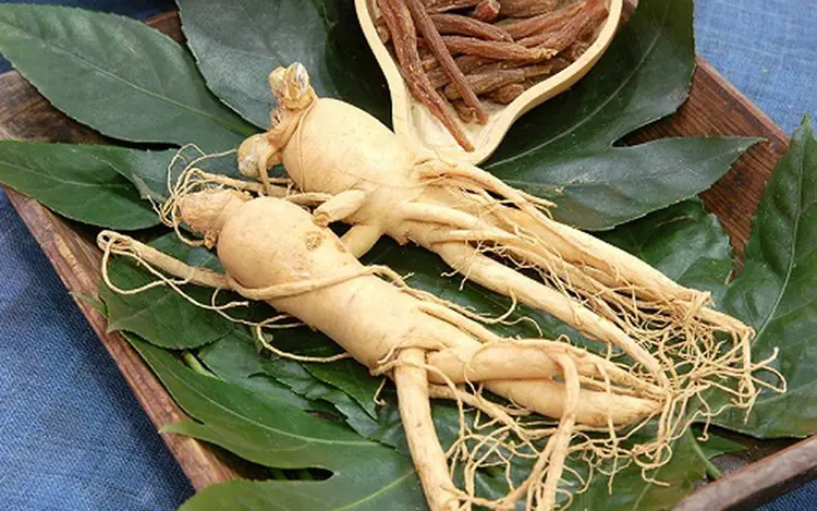 thảo mộc nhân sâm