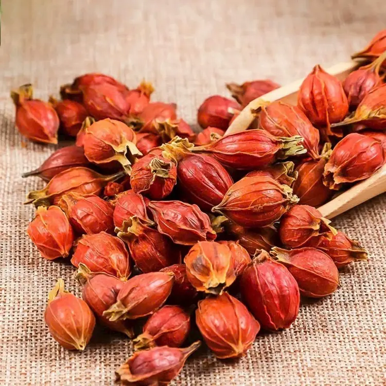 Quả dành dành khô